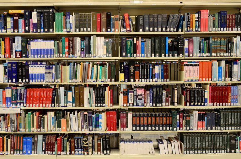 Lettres et Sciences humaines : quels profils, formations, diplômes et métiers ?