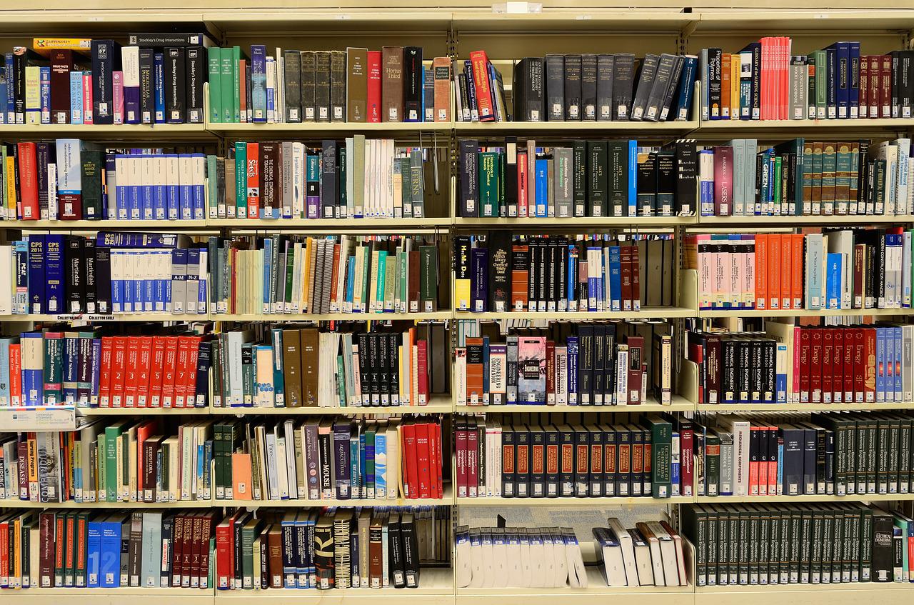 Lettres et Sciences humaines : quels profils, formations, diplômes et métiers ?